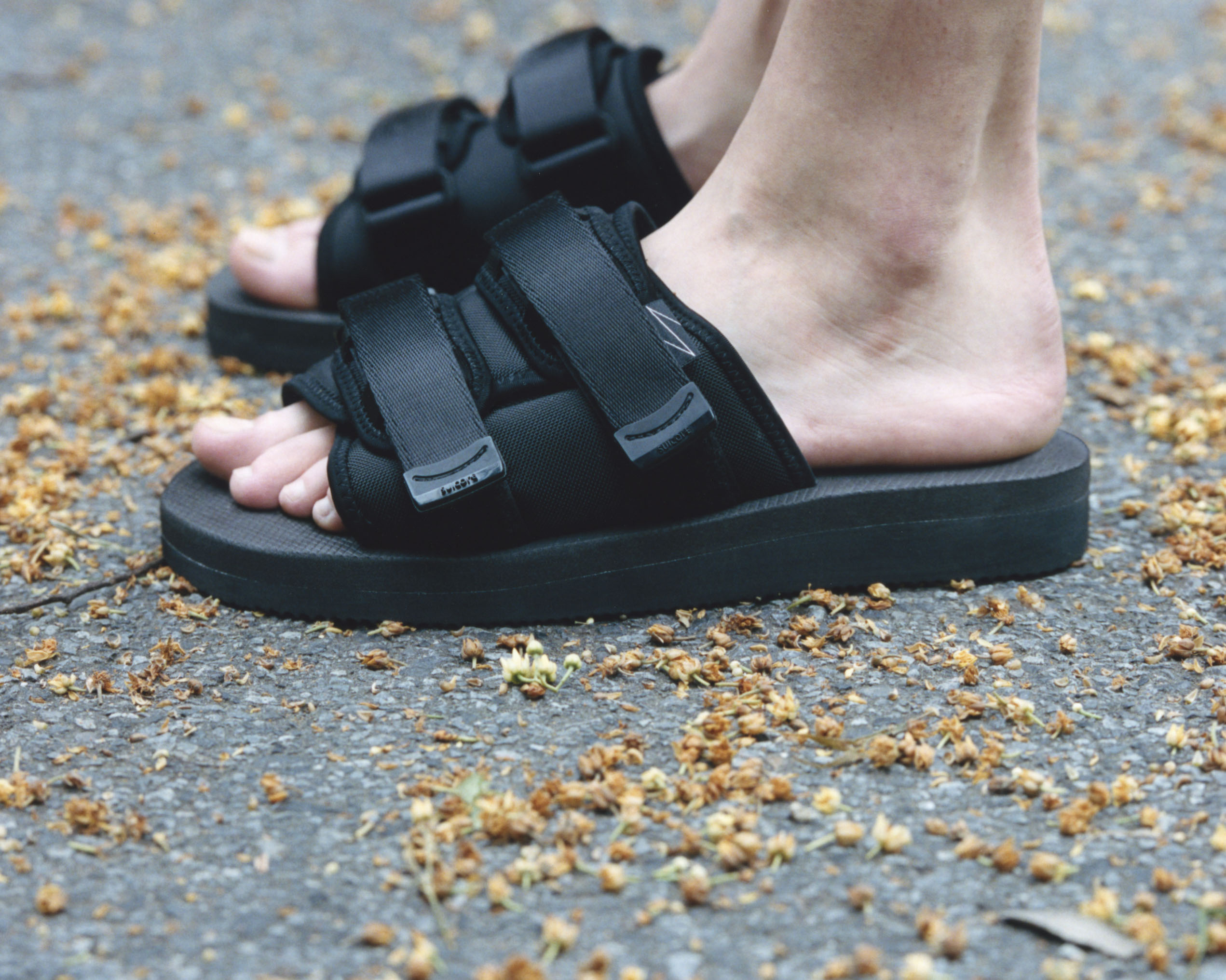 SUICOKE」がブランド設立より20年！全面アップデート＆ウェブサイトを